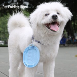 Clip to your dog’s collar