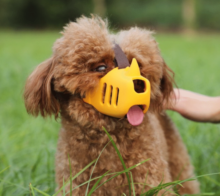 Silicone Dog Muzzle